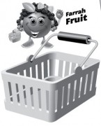 Discover MyPlate - Fruit and Vegetable Sorting