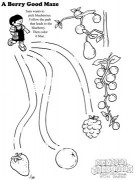 A Berry Good Maze