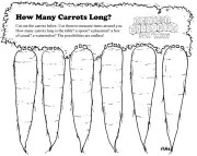 How Many Carrots Long?