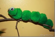 Caterpillar Craft