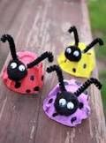 Ladybugs