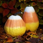 Painted Pumpkins