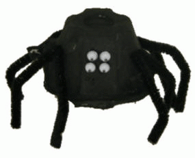 Egg Carton Spider